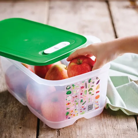 Tupperware Sera Serisi 4'lü Yeşil ve Sarı Buzdolabı Saklama Kapları