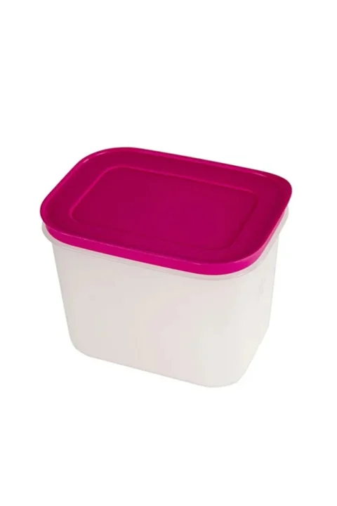 Tupperware Alaska Saklama Kabı 1.1 Litre