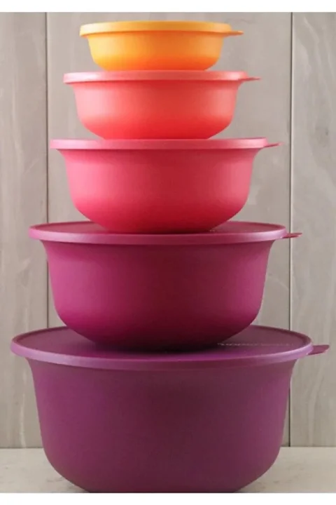 Tupperware Aloha 5'li Saklama Kabı Seti | Renkli, Sağlıklı ve Pratik Saklama